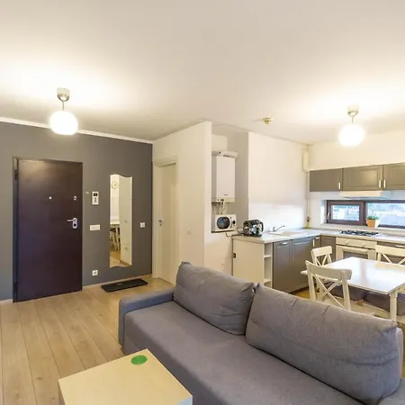 Apartment The Grey Lux Aviatiei