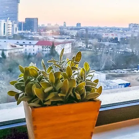 The Grey Lux Aviatiei Apartment *